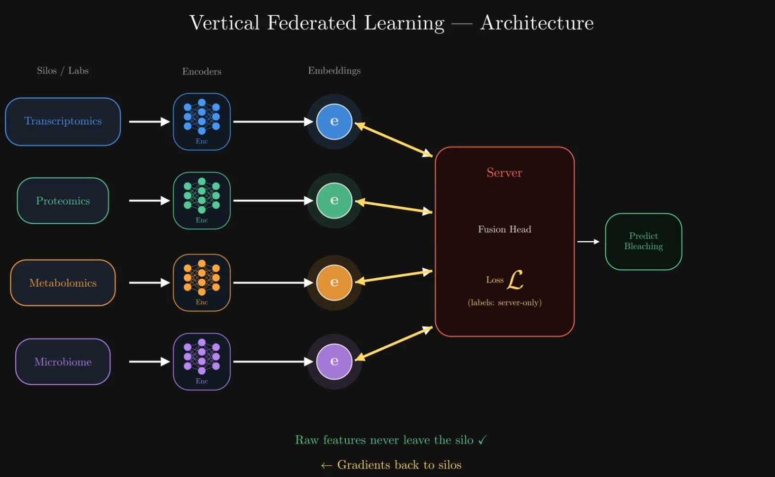 REEF Framework